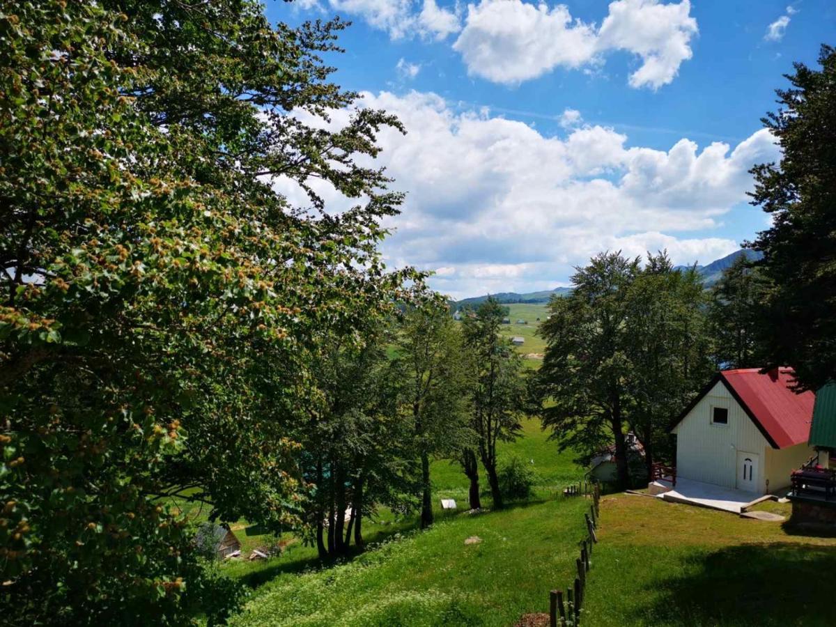 Gorska Vila Apartments Zabljak  Luaran gambar