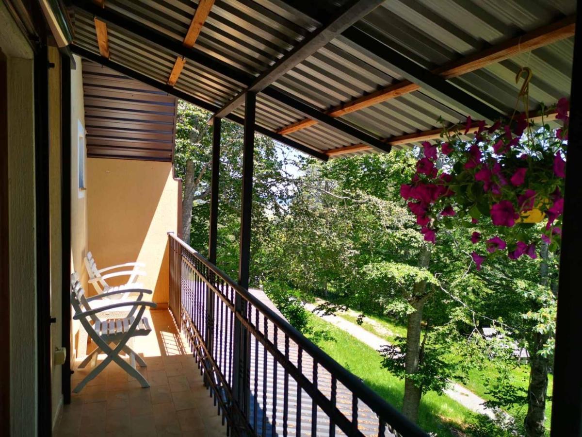 Gorska Vila Apartments Zabljak  Luaran gambar