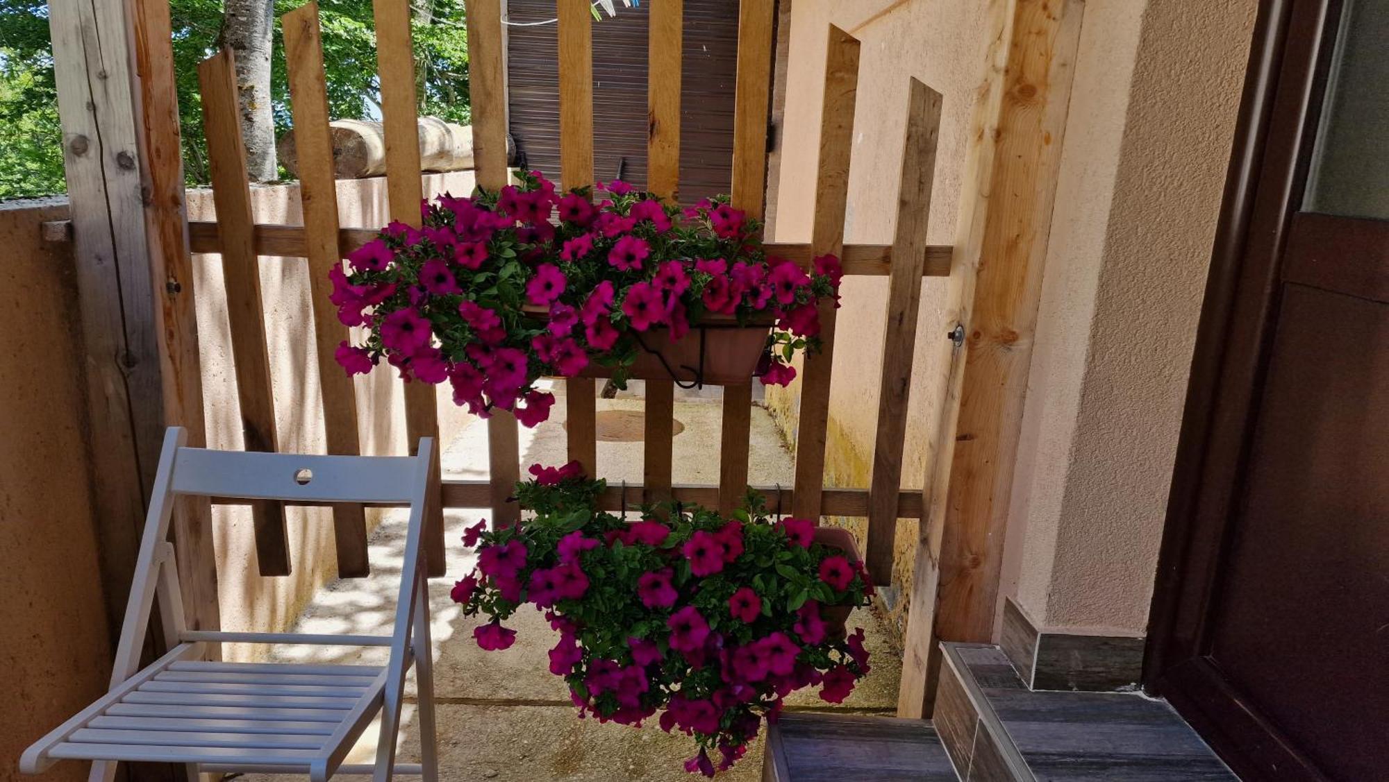 Gorska Vila Apartments Zabljak  Bilik gambar