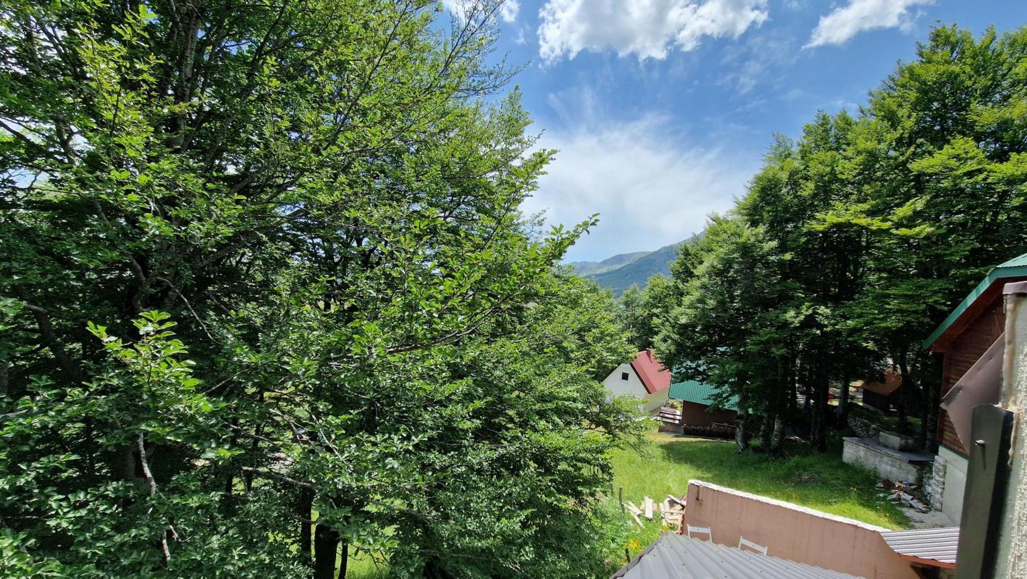 Gorska Vila Apartments Zabljak  Bilik gambar
