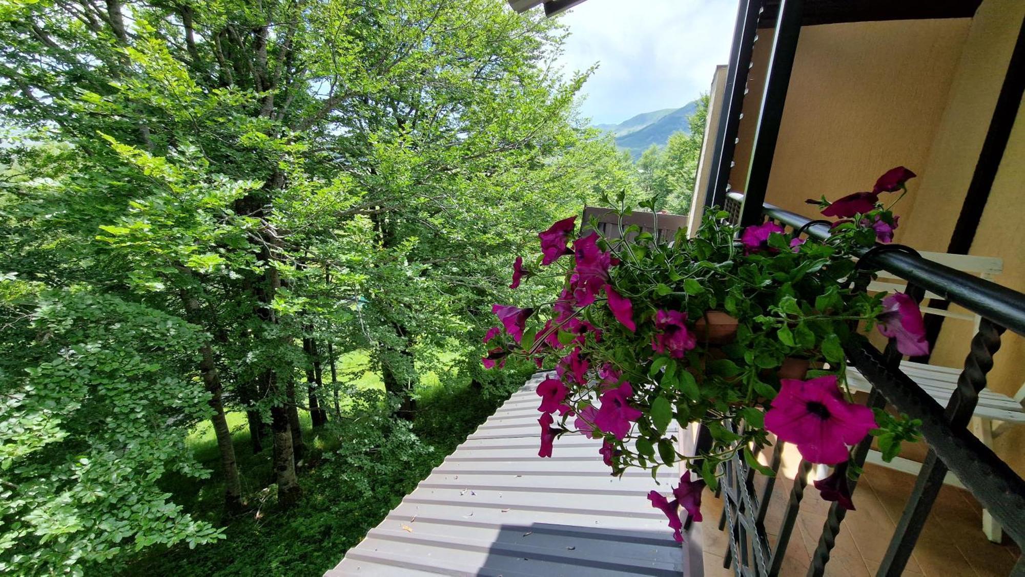 Gorska Vila Apartments Zabljak  Bilik gambar