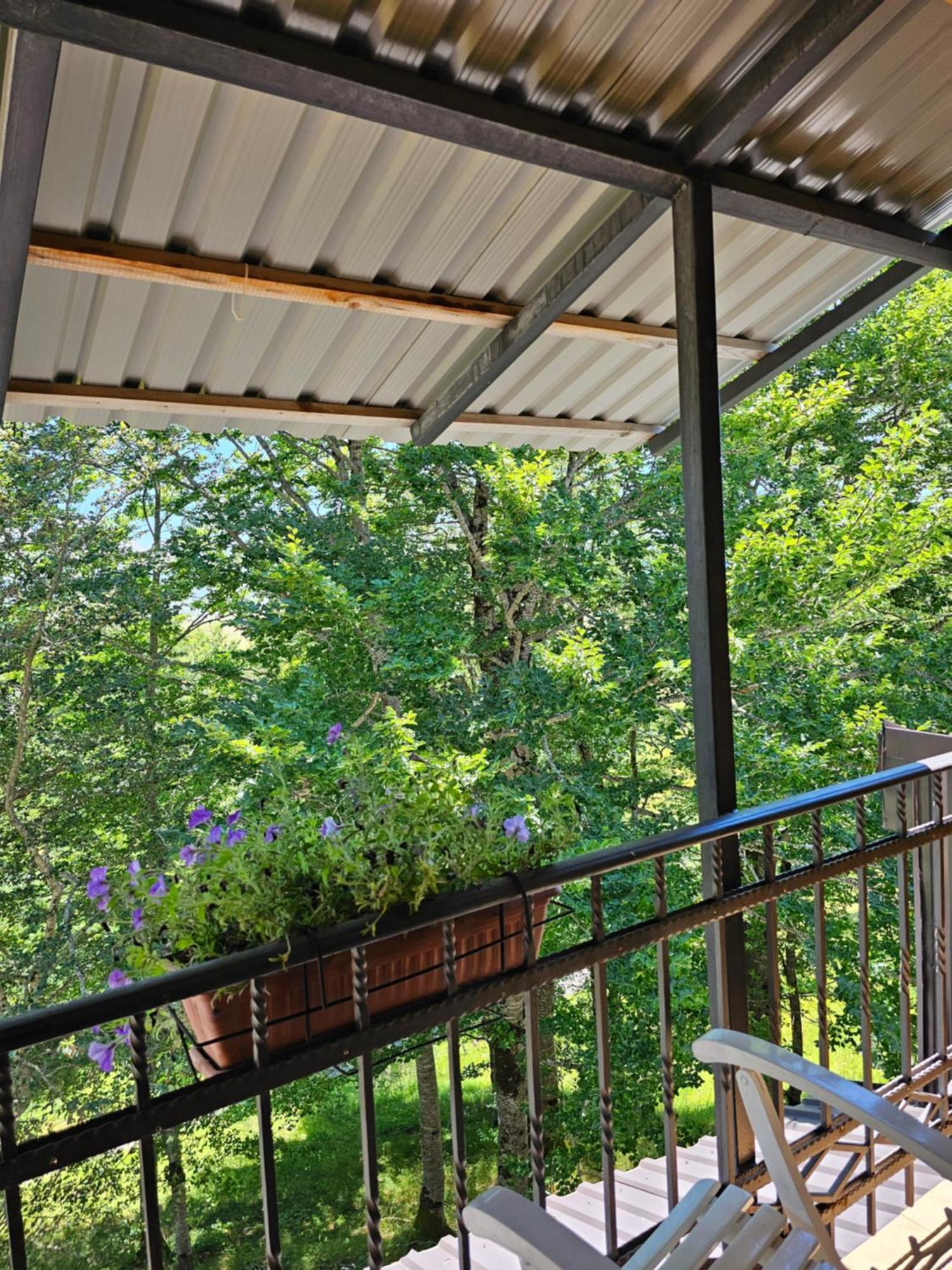 Gorska Vila Apartments Zabljak  Luaran gambar