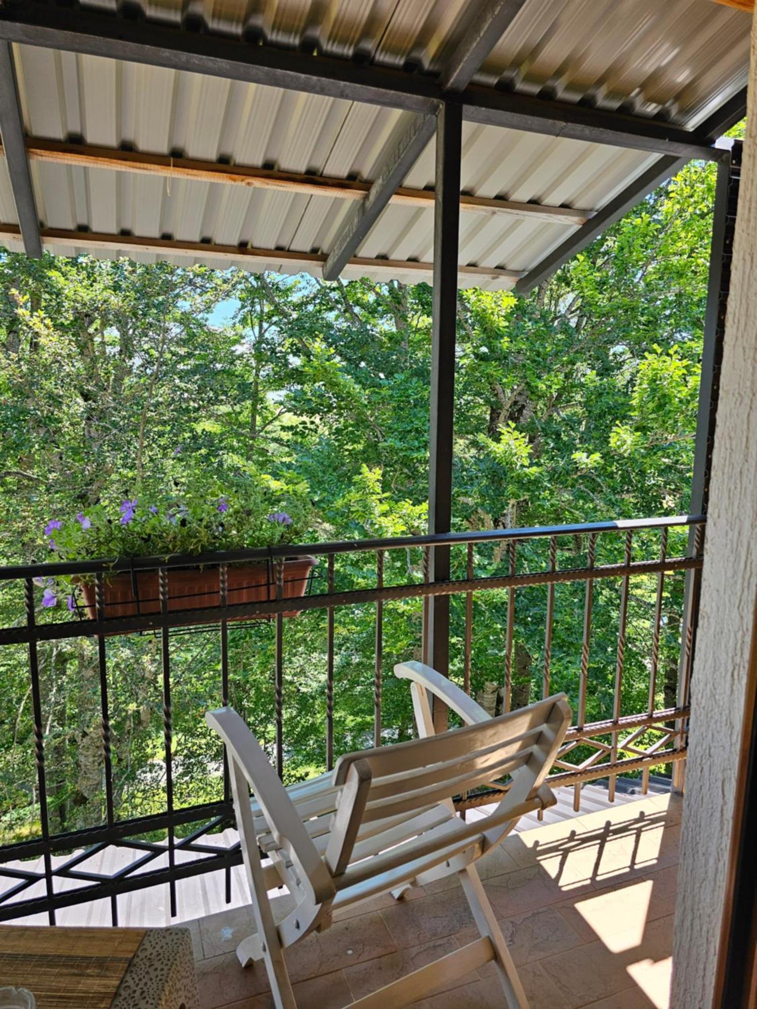 Gorska Vila Apartments Zabljak  Luaran gambar